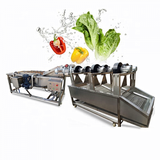 Leaf Vegetable Fruit Brush Washing Machine Vegetable Cleaning Machine For Factory